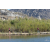 Team 99 / Raid Amazones Californie - J5 Triathlon