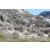 Team 42 / Raid Amazones Californie - J5 Triathlon