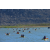 Raid Amazones Californie - J5 Triathlon