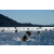 Raid Amazones Californie - J5 Triathlon