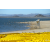 Raid Amazones Californie - J5 Triathlon
