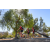 Team 16 / Raid Amazones Californie - J5 Triathlon