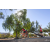 Raid Amazones Californie - J5 Triathlon