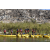 Team 84 / Raid Amazones Californie - J5 Triathlon