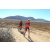 Team 67 / Raid Amazones Californie - J5 Triathlon