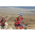Team 74 / Raid Amazones Californie - J5 Triathlon