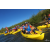 Team 66 / Raid Amazones Californie - J5 Triathlon