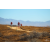 Raid Amazones Californie - J5 Triathlon