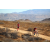 Team 99 / Raid Amazones Californie - J5 Triathlon