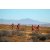 Raid Amazones Californie - J5 Triathlon