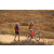 Team 76 / Raid Amazones Californie - J5 Triathlon