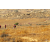 Raid Amazones Californie - J5 Triathlon