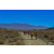 Raid Amazones Californie - J5 Triathlon