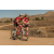 Team 99 / Raid Amazones Californie - J5 Triathlon