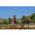Team 54 / Raid Amazones Californie - J5 Triathlon