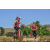 Team 54 / Raid Amazones Californie - J5 Triathlon