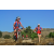 Team 15 / Raid Amazones Californie - J5 Triathlon