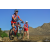 Team 15 / Raid Amazones Californie - J5 Triathlon
