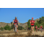 Team 70 / Raid Amazones Californie - J5 Triathlon