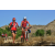 Team 44 / Raid Amazones Californie - J5 Triathlon