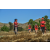 Team 25 / Raid Amazones Californie - J5 Triathlon