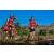 Team 45 / Raid Amazones Californie - J5 Triathlon