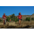 Team 90 / Raid Amazones Californie - J5 Triathlon