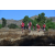 Team 24 / Raid Amazones Californie - J5 Triathlon