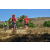 Team 65 / Raid Amazones Californie - J5 Triathlon