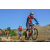 Team 29 / Raid Amazones Californie - J5 Triathlon
