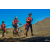Team 14 / Raid Amazones Californie - J5 Triathlon