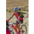 Team 74 / Raid Amazones Californie - J5 Triathlon