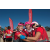 Team 22 / Raid Amazones Californie - J5 Triathlon