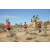Team 51 / Raid Amazones Californie - J5 Trek