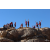 Raid Amazones Californie - J6 Trek