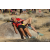 Raid Amazones Californie - J6 Trek