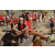 Raid Amazones Californie - J6 Trek