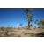 Team 95 / Raid Amazones Californie - J5 Trek
