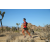 Team 95 / Raid Amazones Californie - J5 Trek