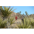 Team 54 / Raid Amazones Californie - J5 Trek