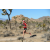 Team 54 / Raid Amazones Californie - J5 Trek