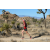 Team 54 / Raid Amazones Californie - J5 Trek