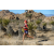 Team 54 / Raid Amazones Californie - J5 Trek