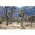 Raid Amazones Californie - J6 Trek