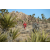 Team 41 / Raid Amazones Californie - J5 Trek