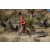 Team 41 / Raid Amazones Californie - J5 Trek