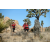 Team 72 / Raid Amazones Californie - J5 Trek