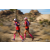 Team 41 / Raid Amazones Californie - J5 Trek