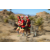 Team 68 / Raid Amazones Californie - J5 Trek