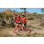 Team 61 / Raid Amazones Californie - J5 Trek